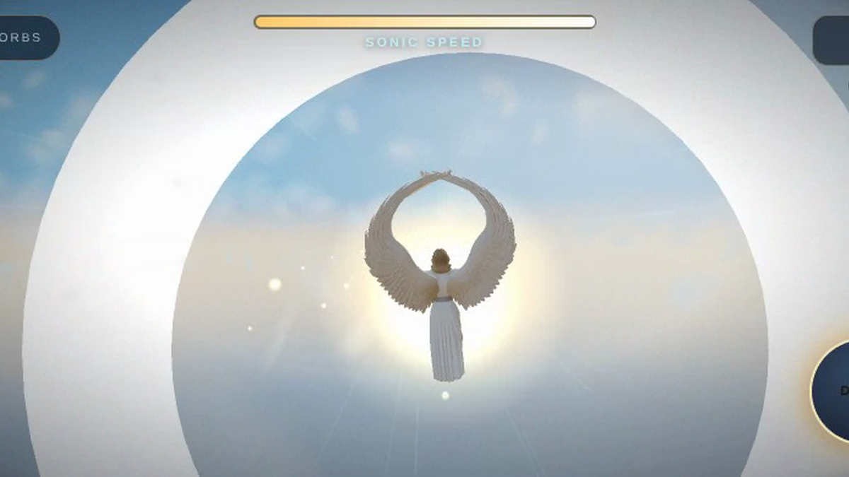 Angel Flight